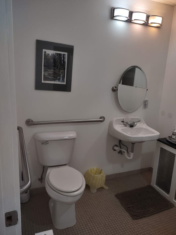 Handicapped bathroom with grab bars along toilet and by toilet, sink with no cabinet beneath and oval mirror above sink. Three light above sink. Picture of water lilies above toilet