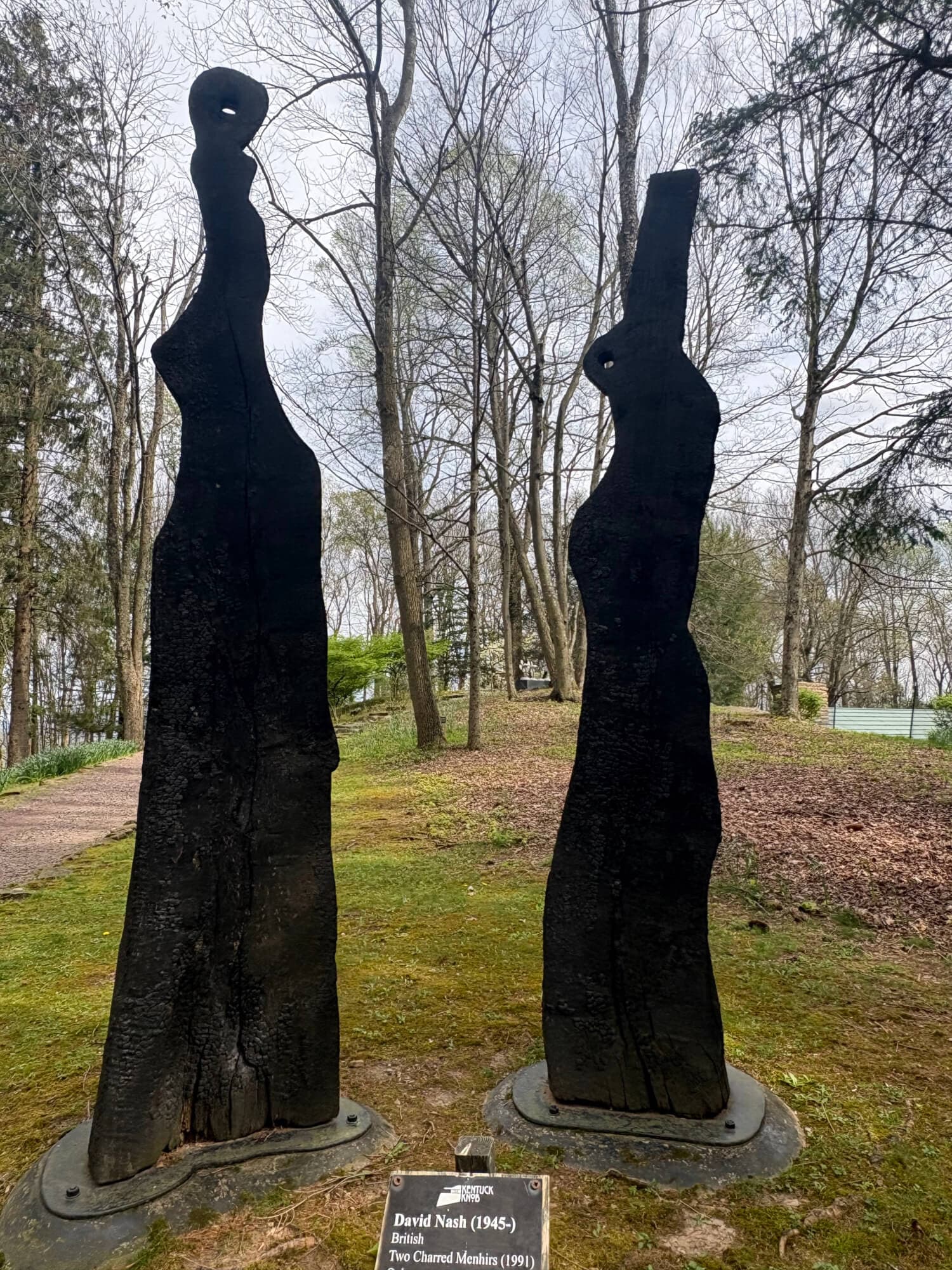 Two tall, abstract wooden sculptures by David Nash stand in a wooded area.