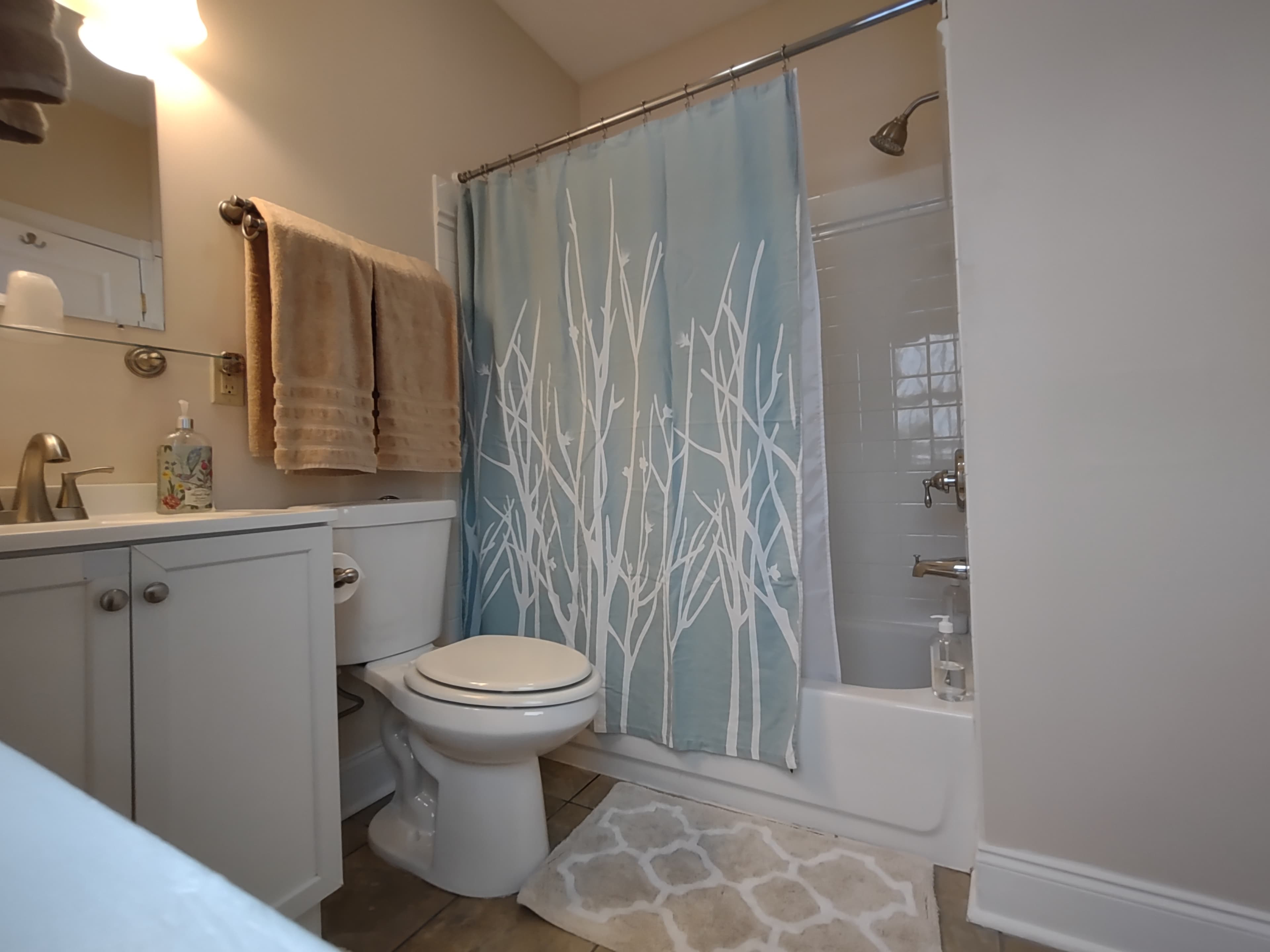 Sink, Toilet, Tub/Shower Combination with shower curtain